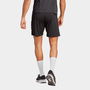 New Zealand All Blacks 2023 Gym Shorts Mens