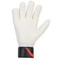 Match Goalkeeper Gloves