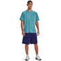 Armour Ua Tech Wm Graphic Short Gym Mens