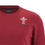 WRU Cshirt Sn34