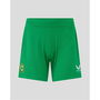 Ireland Home Short Ladies 2022