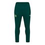 Ireland Tracksuits Bottoms 2022 Adults