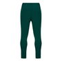 Ireland Tracksuits Bottoms 2022 Adults