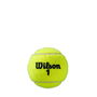 Roland Garros All Ct 4ball 2pk Tennis Ball Unisex Adults