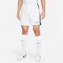 Dri FIT Academy Mens Soccer Shorts