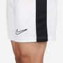 Dri FIT Academy Mens Soccer Shorts