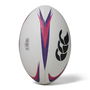 Mentre Training Rugby Ball