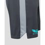 Scarlets 23/24 Gym Shorts Mens