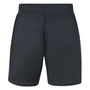 Scarlets 23/24 Gym Shorts Mens