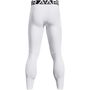 Armour Ua Hg Armourprint Leggings Gym Legging Mens