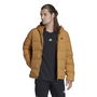 Helionic Hooded Down Jacket