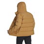 Helionic Hooded Down Jacket