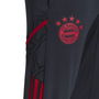 Fc Bayern Training Pants 2022 23 Mens