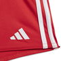 FC Bayern Home Baby Kit 2023 2024