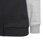 Essentials Big Logo Fleece Tracksuit