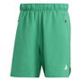 Train Icons 3 Stripes Training Shorts