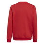 ENT22 Sweater Juniors