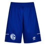 Schalke 04 Away Shorts Juniors