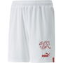 Switzerland Shorts Replica Juniors 2022