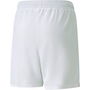 Switzerland Shorts Replica Juniors 2022