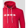 Harlequins Jester Hoodies Mens