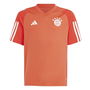 Bayern Munich Training Jersey 2023 2024 Boys