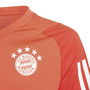 Bayern Munich Training Jersey 2023 2024 Boys