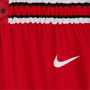 Heat Icon Edition Mens Nike NBA Swingman Shorts