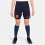 F.C. Barcelona Strike Dri Fit Football Shorts Juniors