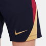 F.C. Barcelona Strike Dri Fit Football Shorts Juniors