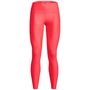 Armour Branded Legging Gym Womens