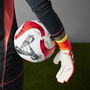 Predator Pro Goalkeeper Gloves Adults