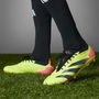 Predator 24 Elite Low Firm Ground Football Boots