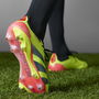 Predator 24 Elite Low Firm Ground Football Boots