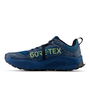 Hierro v8 GTX Womens Running Shoes