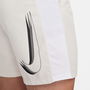 Academy Woven Shorts Mens