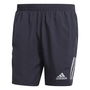 Own The Run Shorts Mens