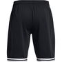 Armour UA Perimeter 10 Shorts