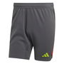 Tiro 23 Pro Goalkeeper Shorts Adults