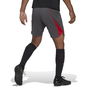 Tiro 23 Pro Goalkeeper Shorts Adults