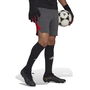 Tiro 23 Pro Goalkeeper Shorts Adults