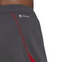 Tiro 23 Pro Goalkeeper Shorts Adults