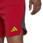 Tiro 23 Pro Goalkeeper Shorts