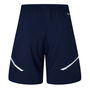 Olympique Lyon Shorts Mens 