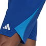 Tiro 23 Pro Goalkeeper Shorts Adults