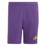 Tiro Pro Goalkeeper Shorts 2023 Adults