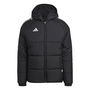 Condivo 22 Winter Jacket