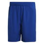 France Handball Shorts Adults