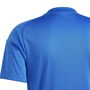 Italy Home Fan Shirt 2024 Adults