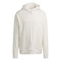 Terrex Hoodie Mens